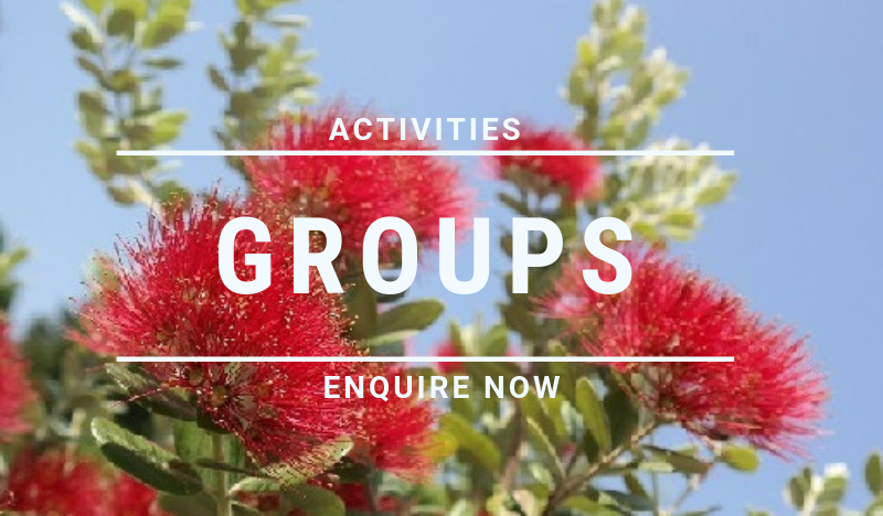 Groups and activities at Beach Pacific Apartments